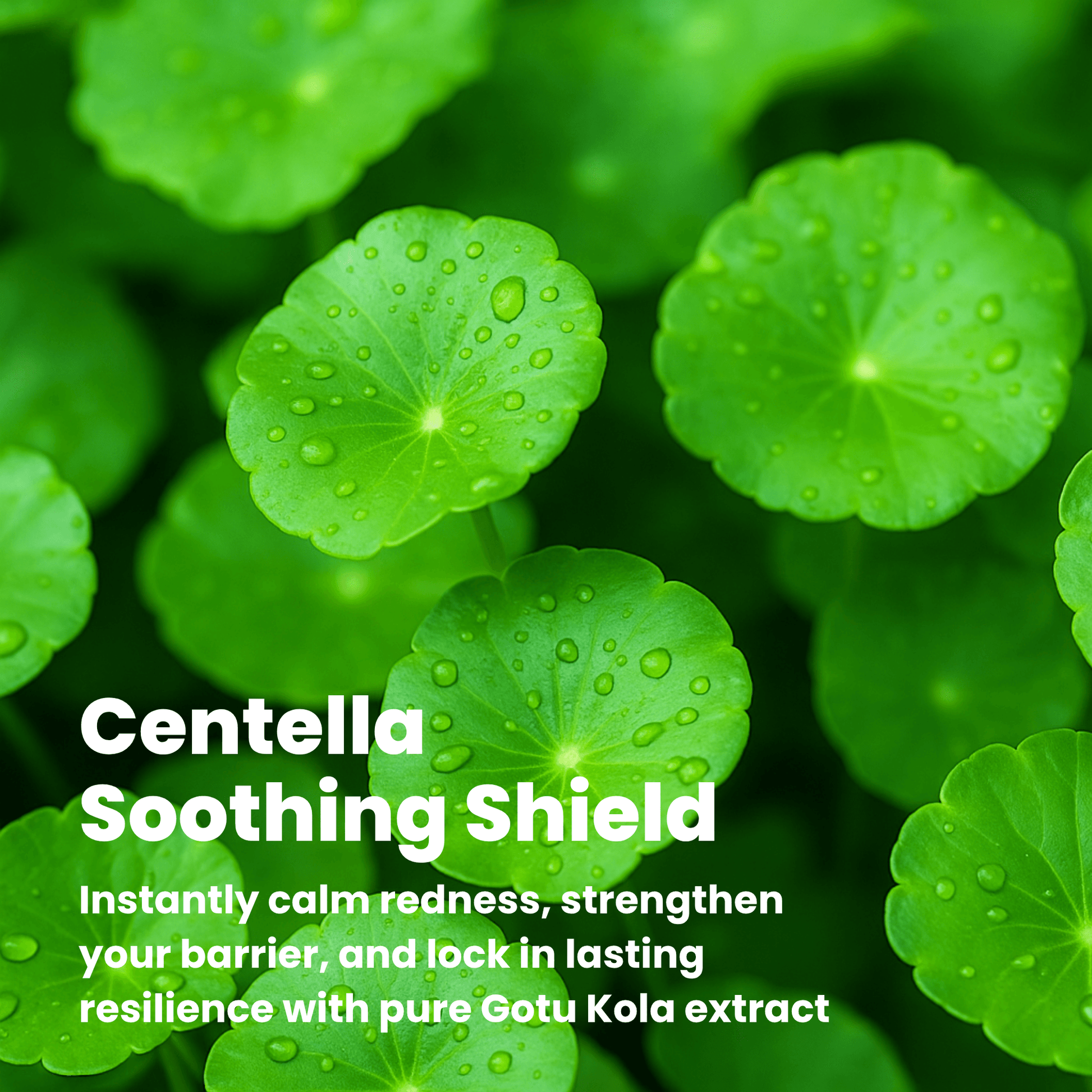 Centella Asiatica Eye Balm Stick for sensitive skin – part of affordable clean skincare routine by Food2Skin