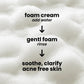 Daily Heartleaf Foaming Facial Cleanser for sensitive skin – part of affordable clean skincare routine by Food2Skin